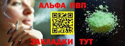 крисы Кингисепп