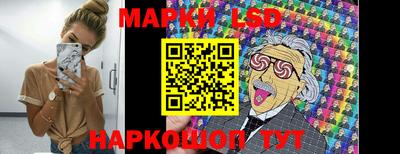 крисы Кингисепп