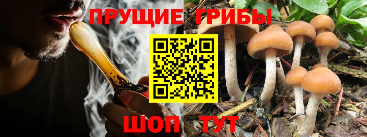 Псилоцибиновые грибы Psilocybe  Вход с VPN  купить наркоту  Костомукша 